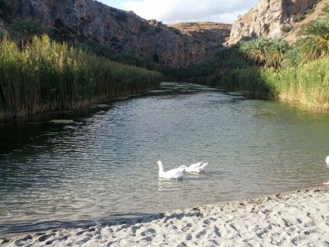 Palm Beach, Preveli