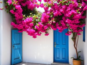 blue doors and bougainvillea mediterranean charm