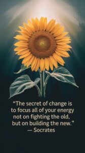 The secret of change is to focus all of your energy not on fighting the old, but on building the new